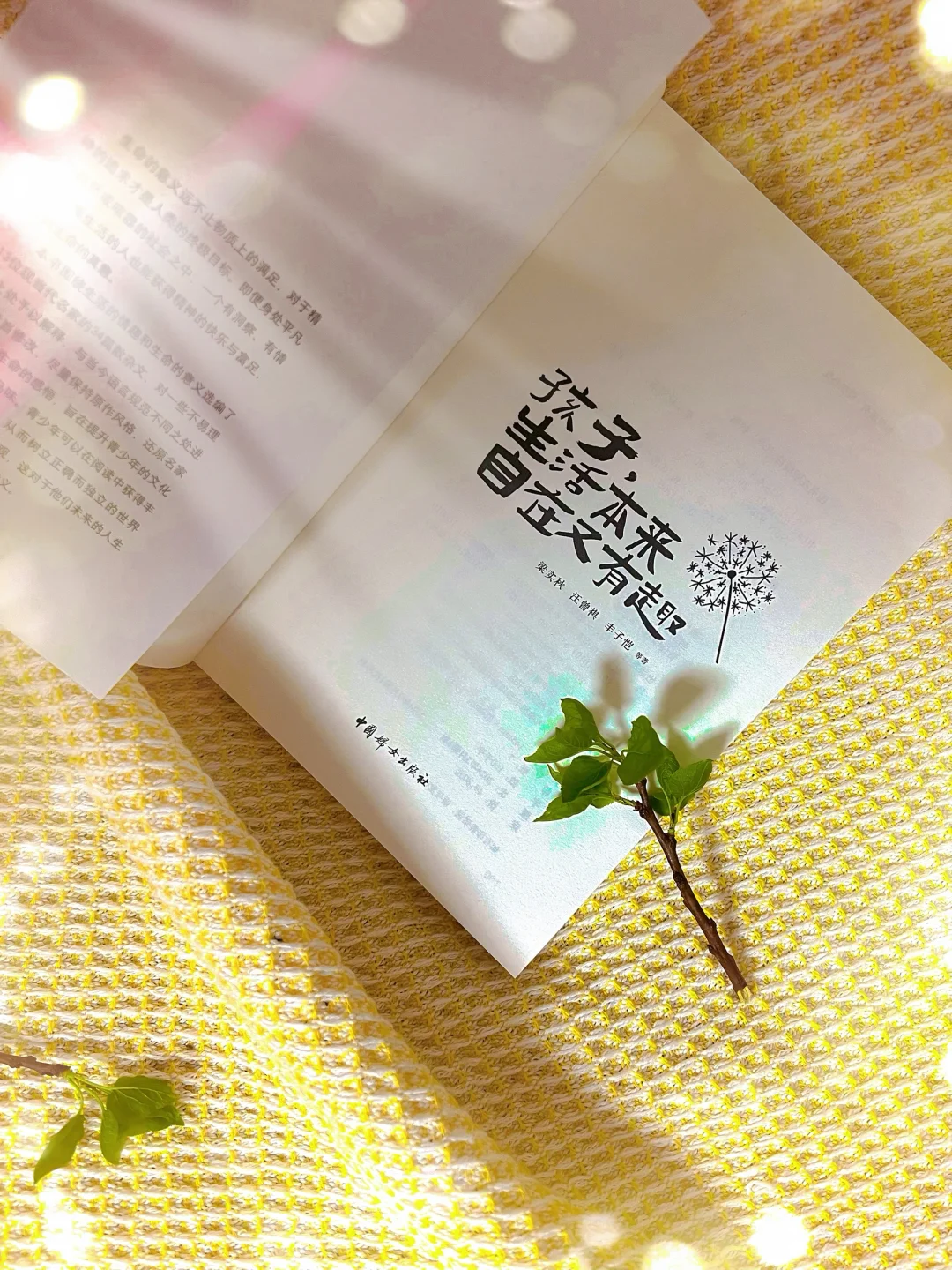 《孩子，生活本来自在又有趣》：解锁生活的多彩