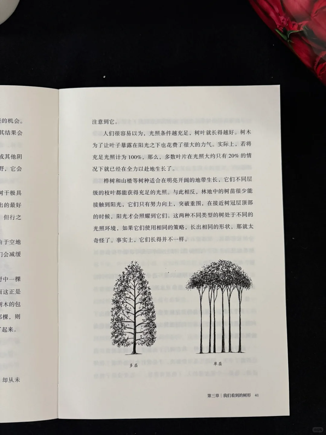 🍃这本书的知识点太丰富了！地位无人撼动！
