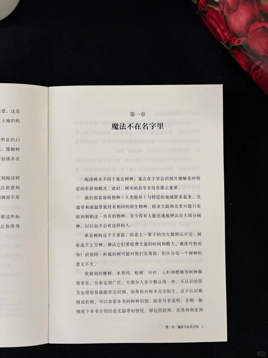 🍃这本书的知识点太丰富了！地位无人撼动！