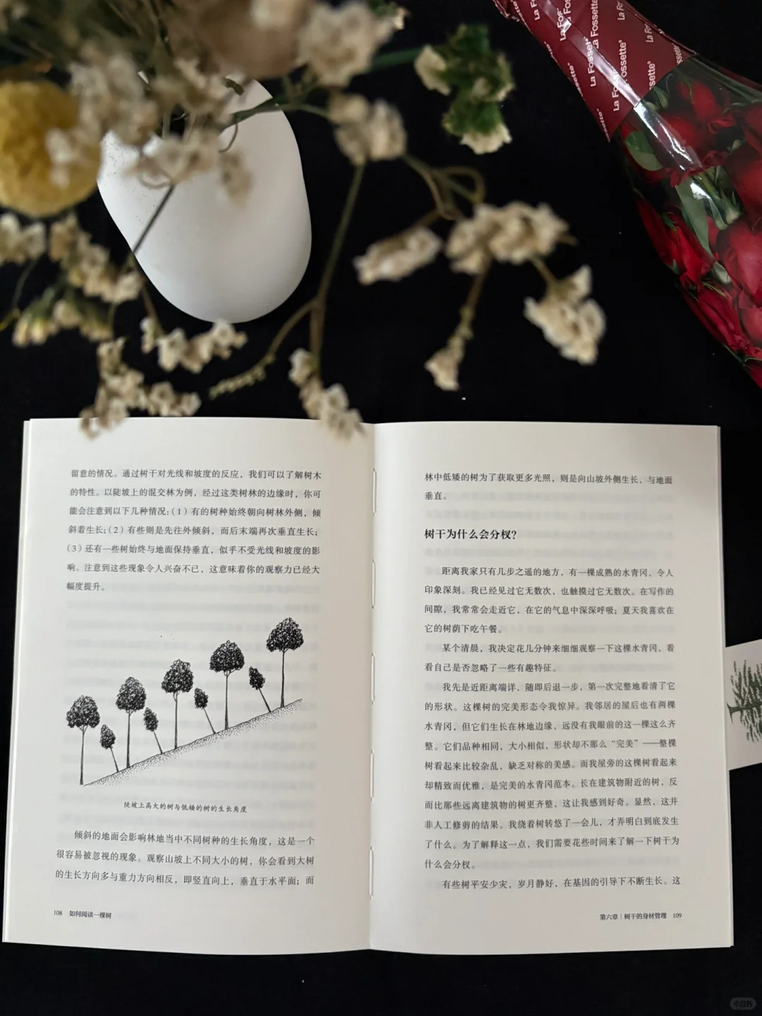 🍃这本书的知识点太丰富了！地位无人撼动！