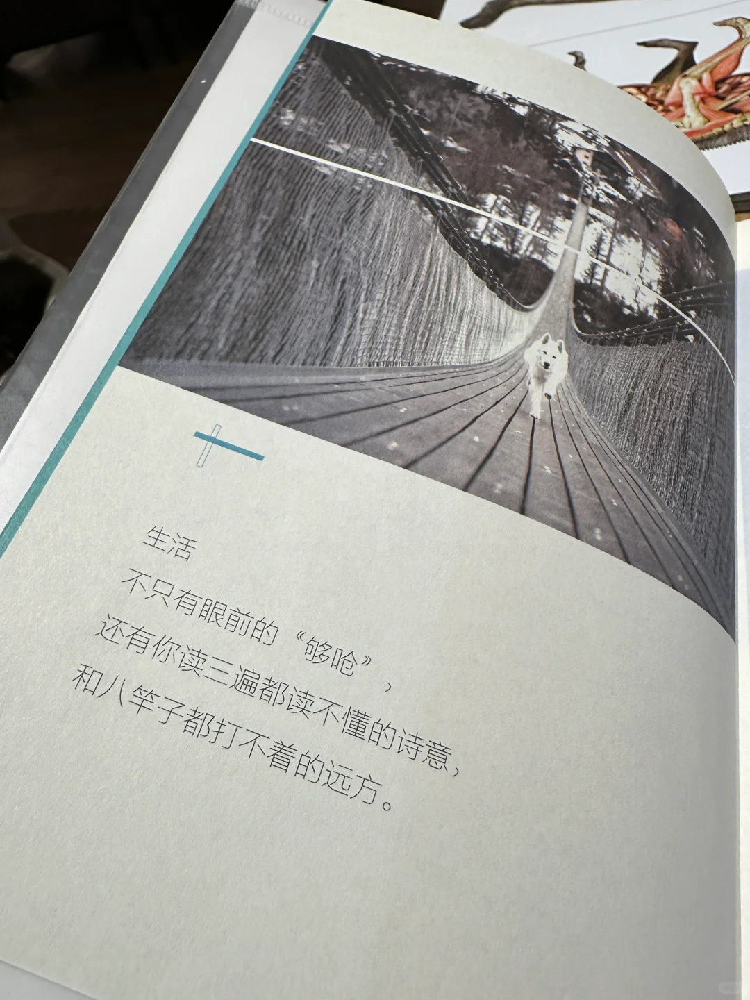 💫带孩子逛书店，邂逅“万里挑一”的灵魂