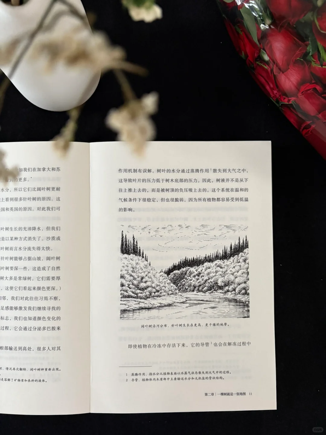 🍃这本书的知识点太丰富了！地位无人撼动！