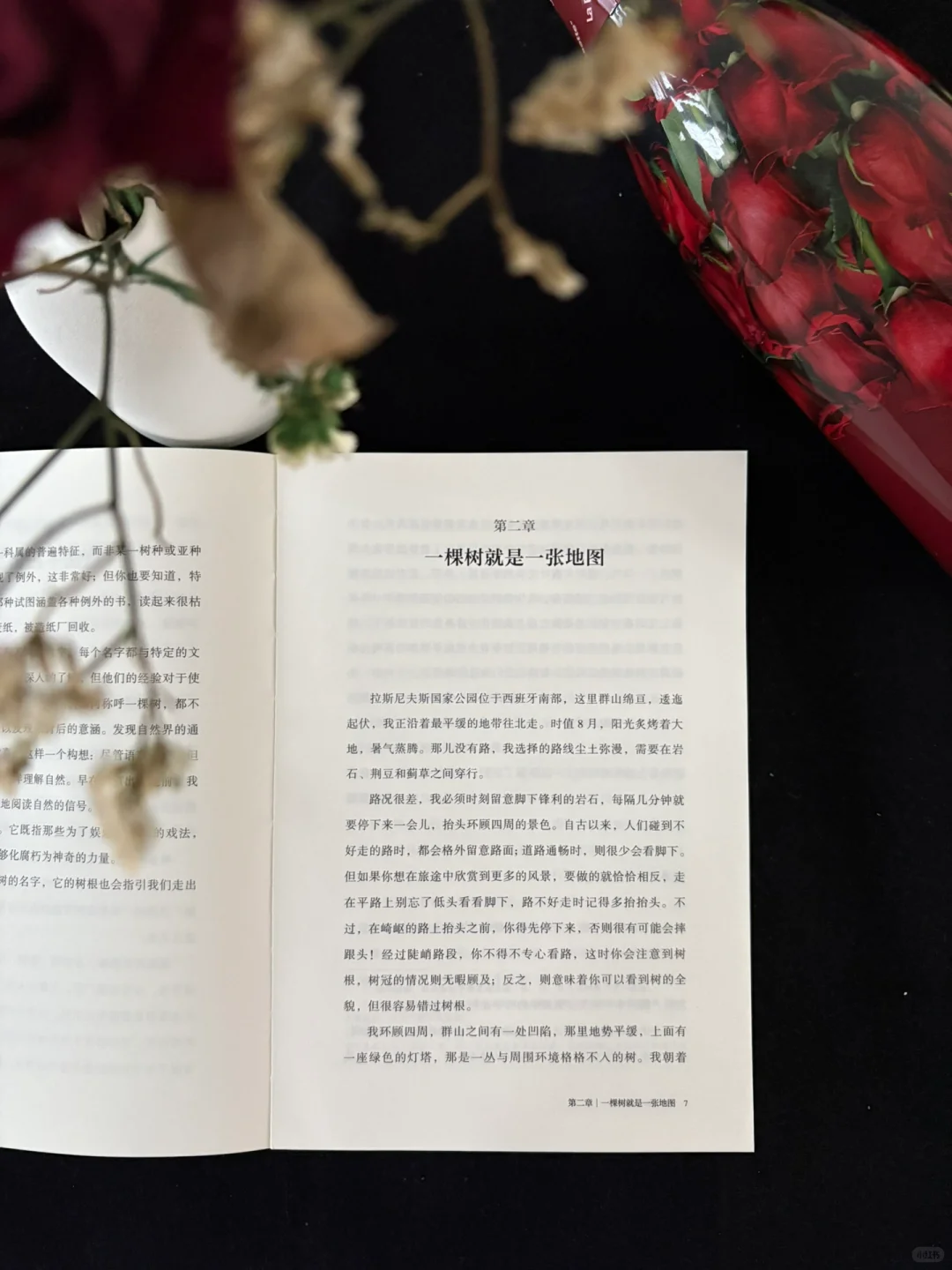 🍃这本书的知识点太丰富了！地位无人撼动！