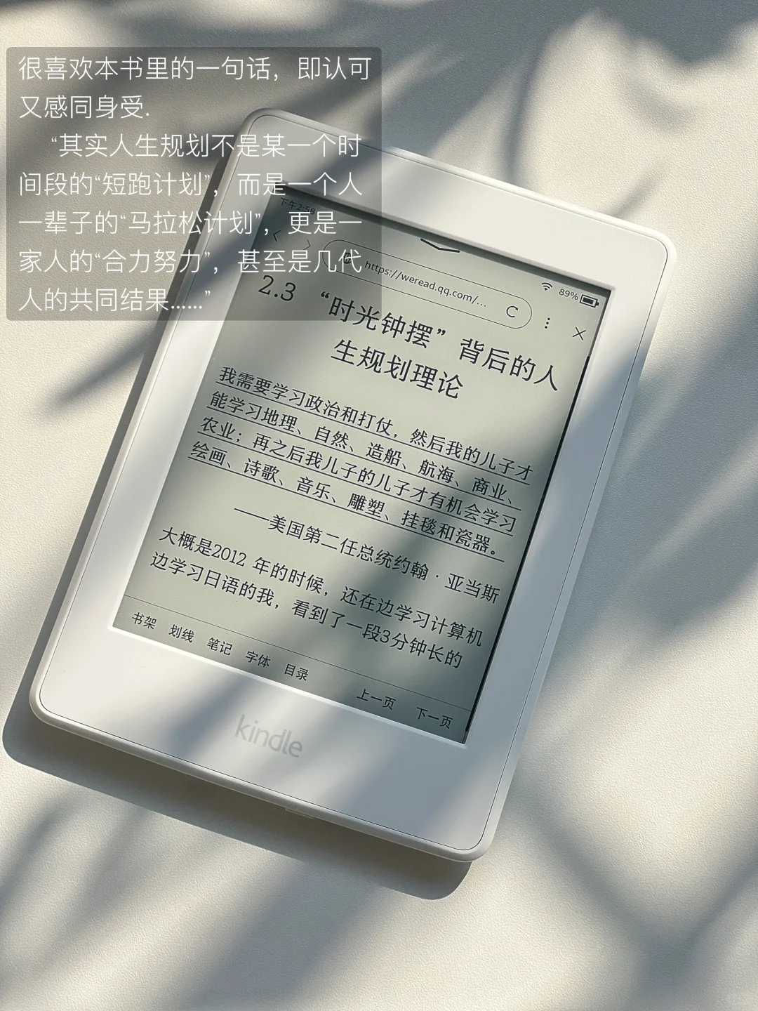 解压日常：喝茶、晒太阳、独处、不联系