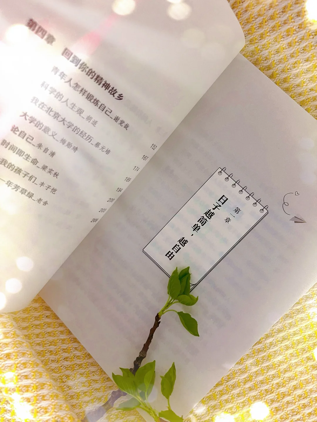 《孩子，生活本来自在又有趣》：解锁生活的多彩