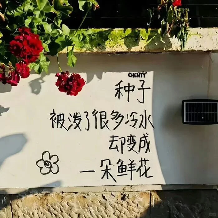 to my self：做自己的自由树