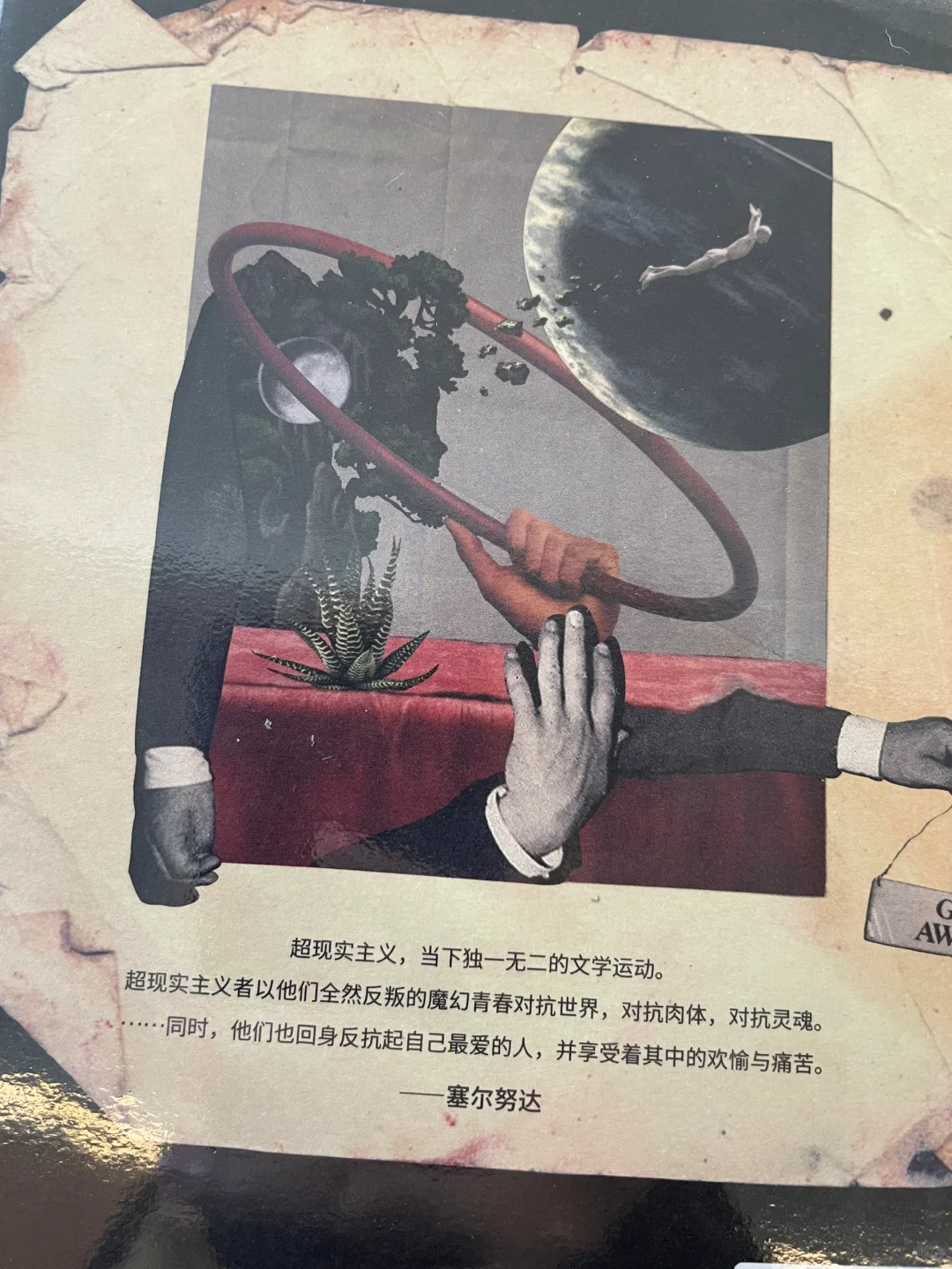 远山书屋好书分享（持续更新）