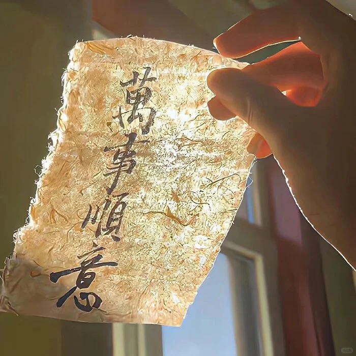 to my self：做自己的自由树