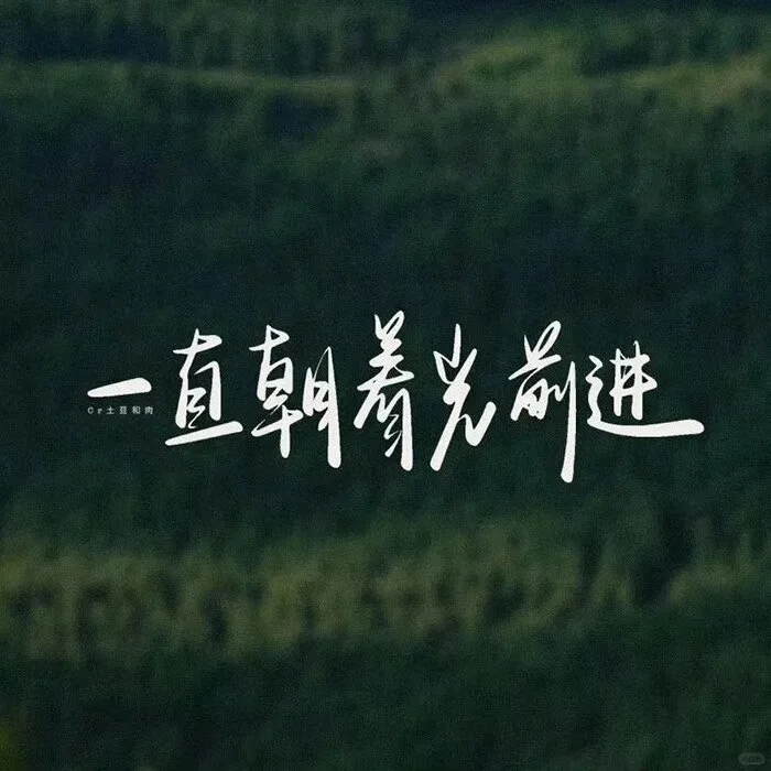 to my self：做自己的自由树