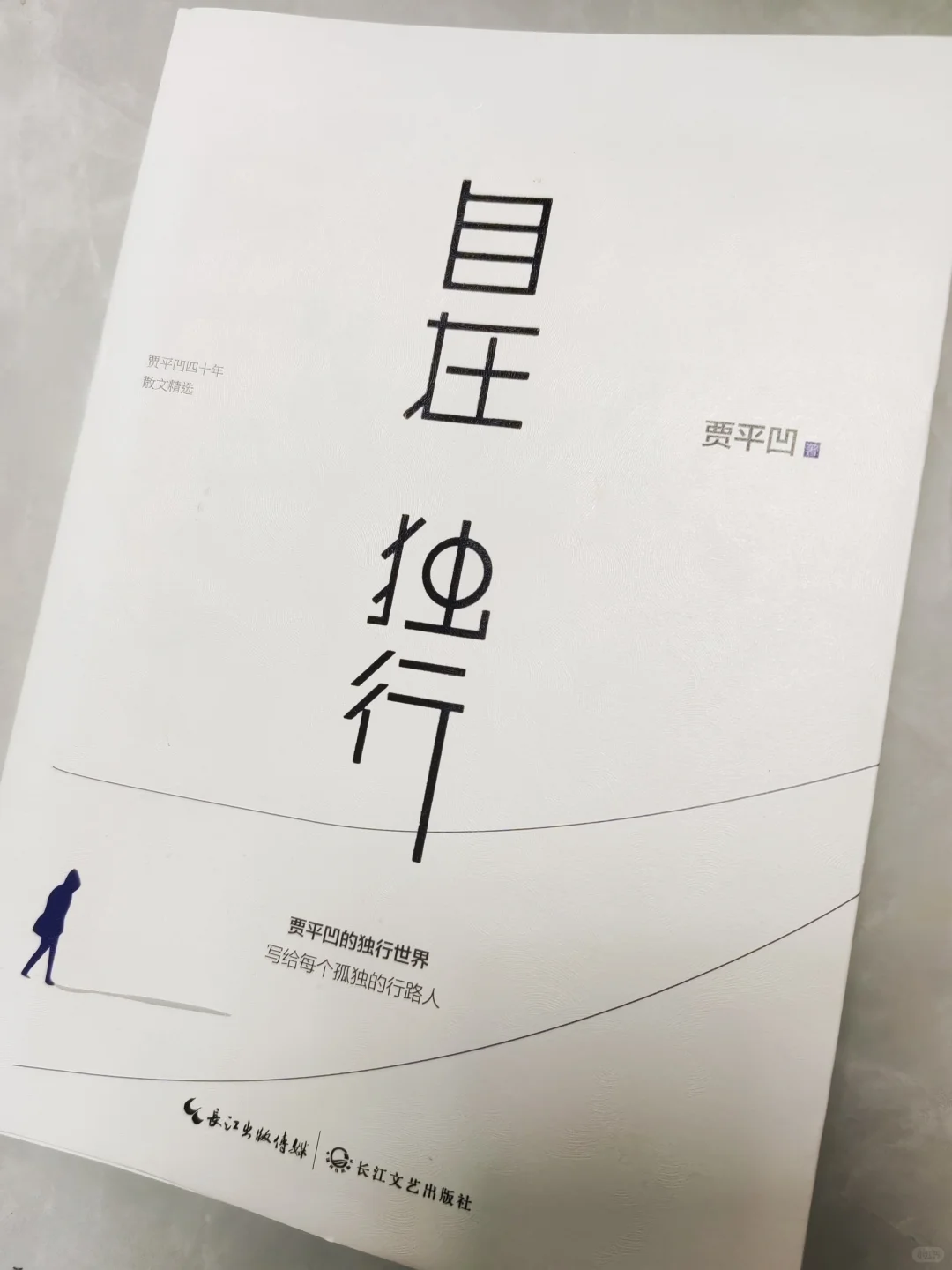 《自在独行》独行是一场心灵的隐居