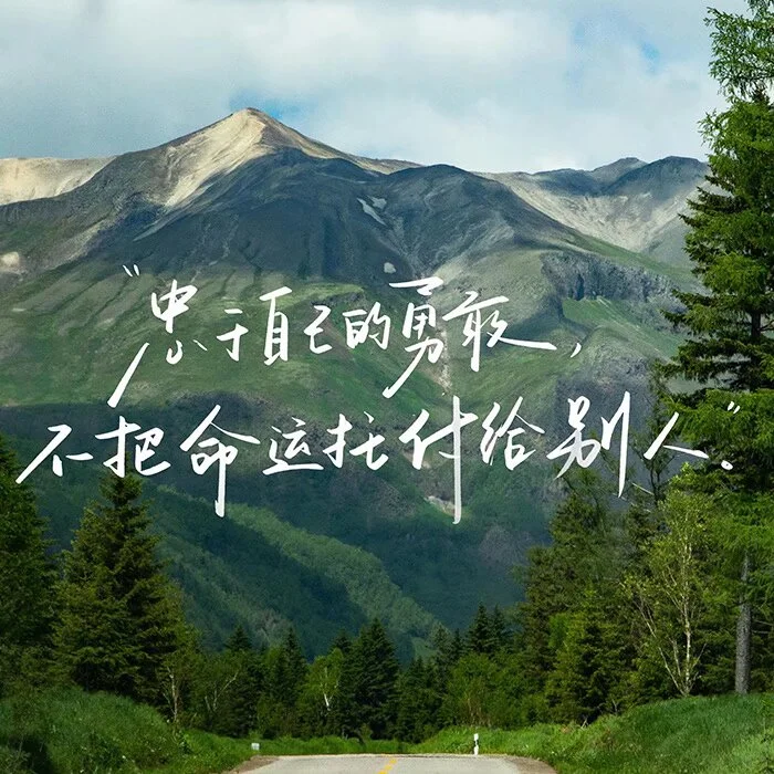 to my self：做自己的自由树
