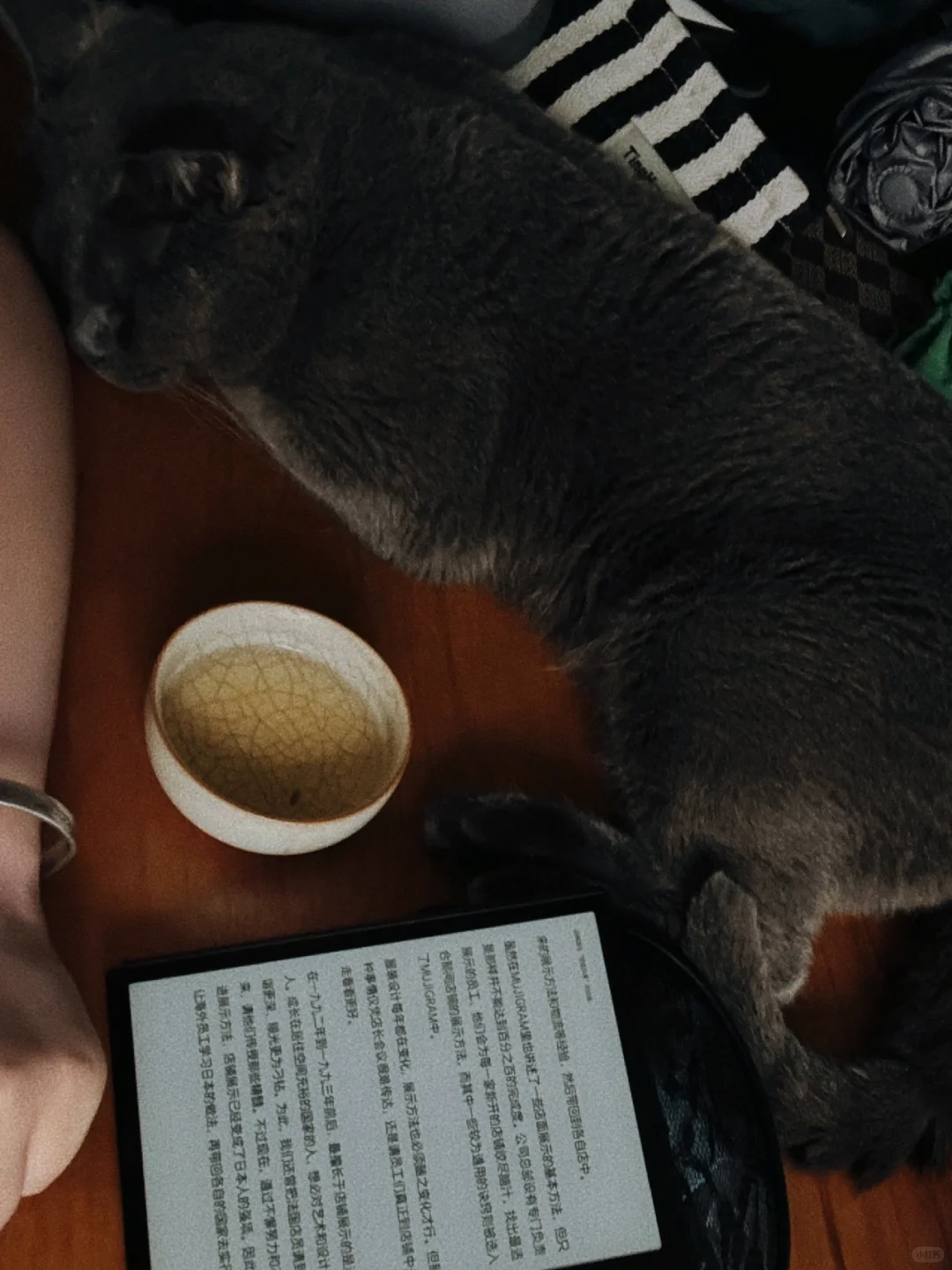 在来回路上读完了📖