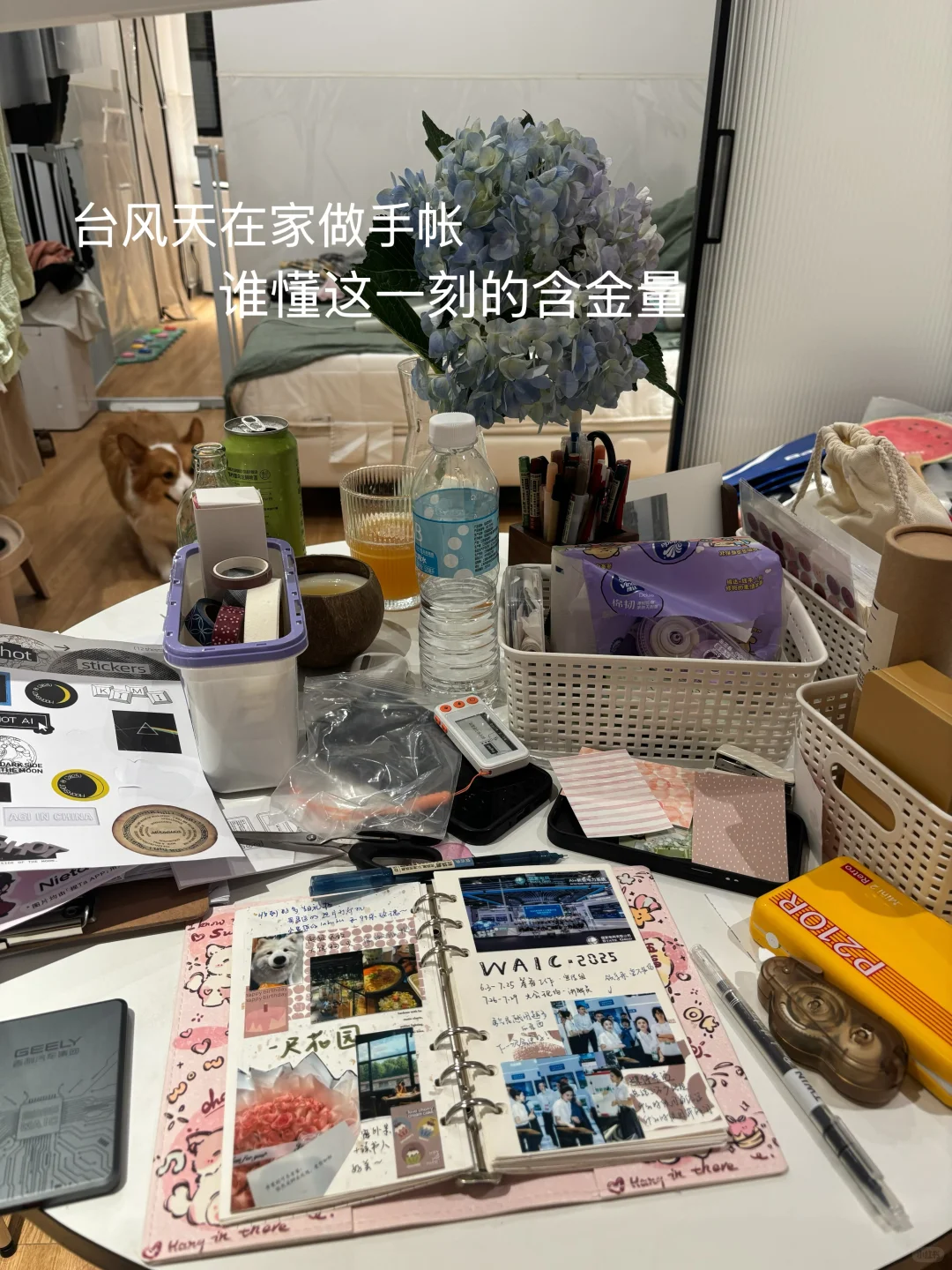PLOG｜勇气是越用越多的东西！在WAIC当讲解员