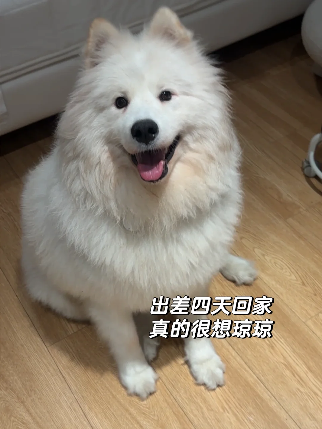 PLOG｜勇气是越用越多的东西！在WAIC当讲解员