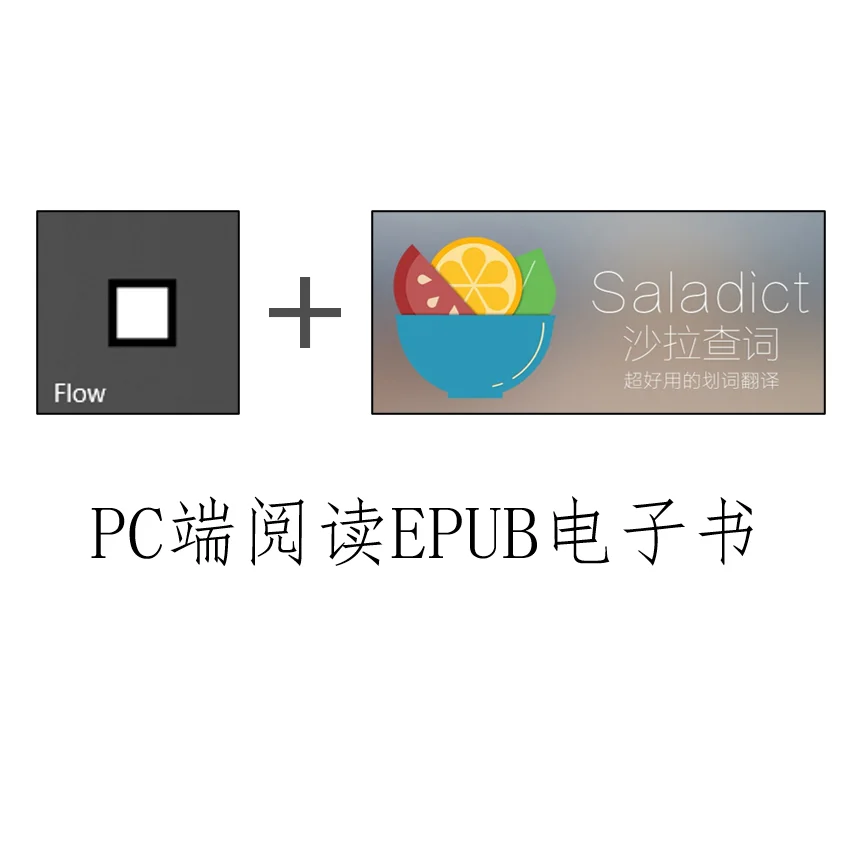 Flow+沙拉查词读外语书
