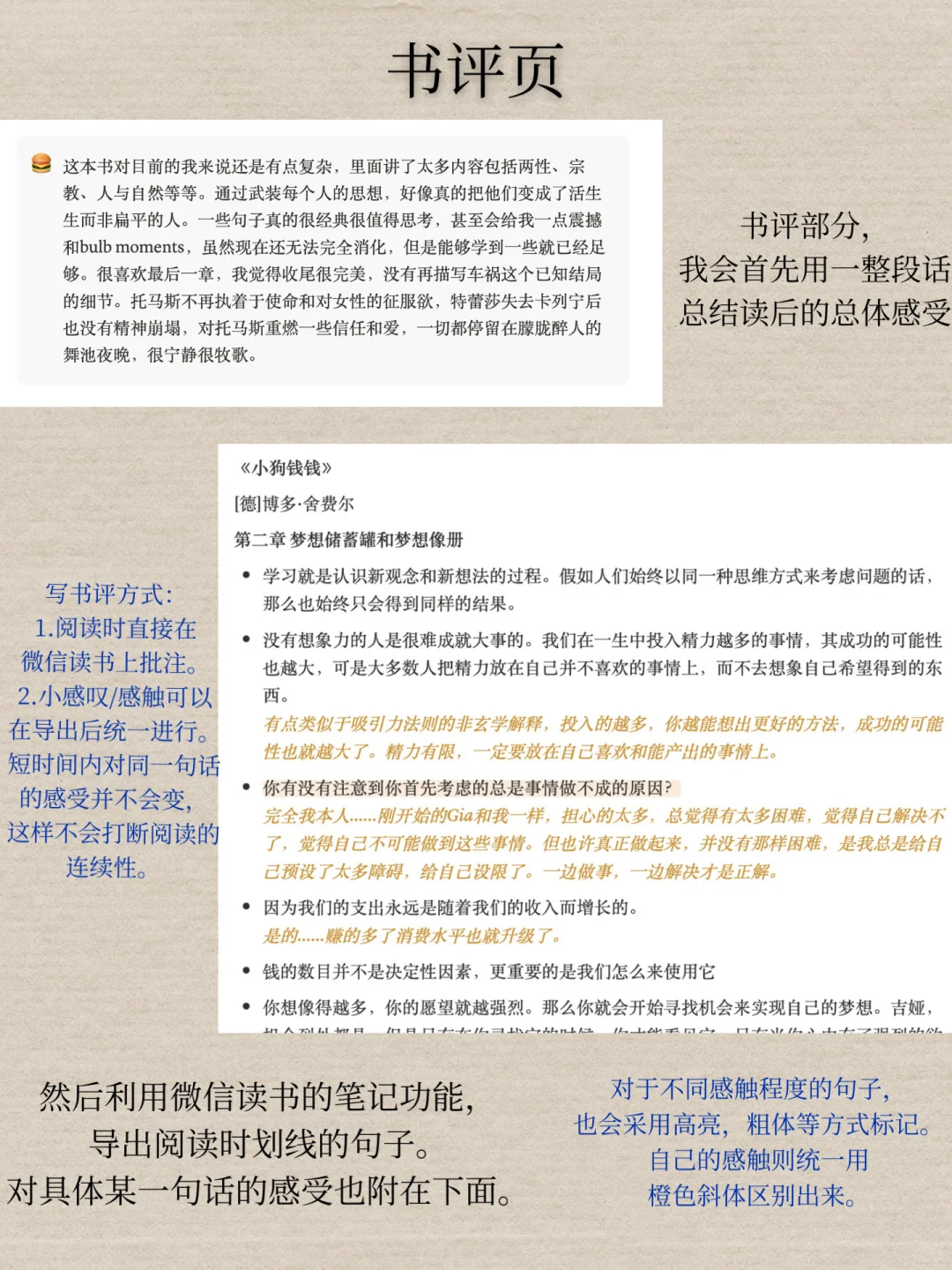 我用notion和微信读书搭建了一个极简图书馆