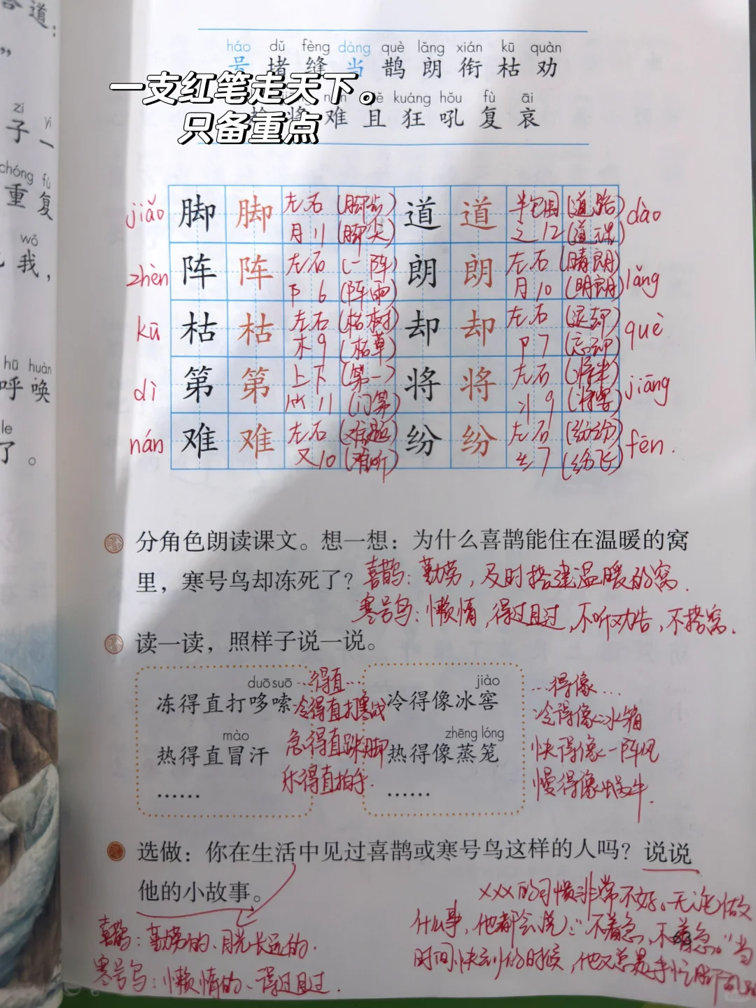 教师日常｜极简备课带班，“躺”平当老师🫡