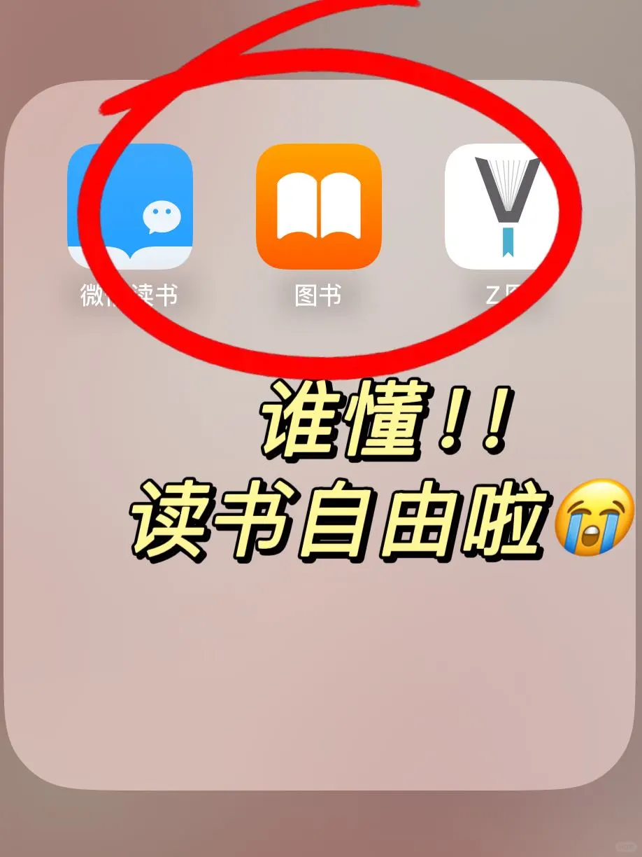 谁懂啊😭我的苹果终于实现电子书自由了！