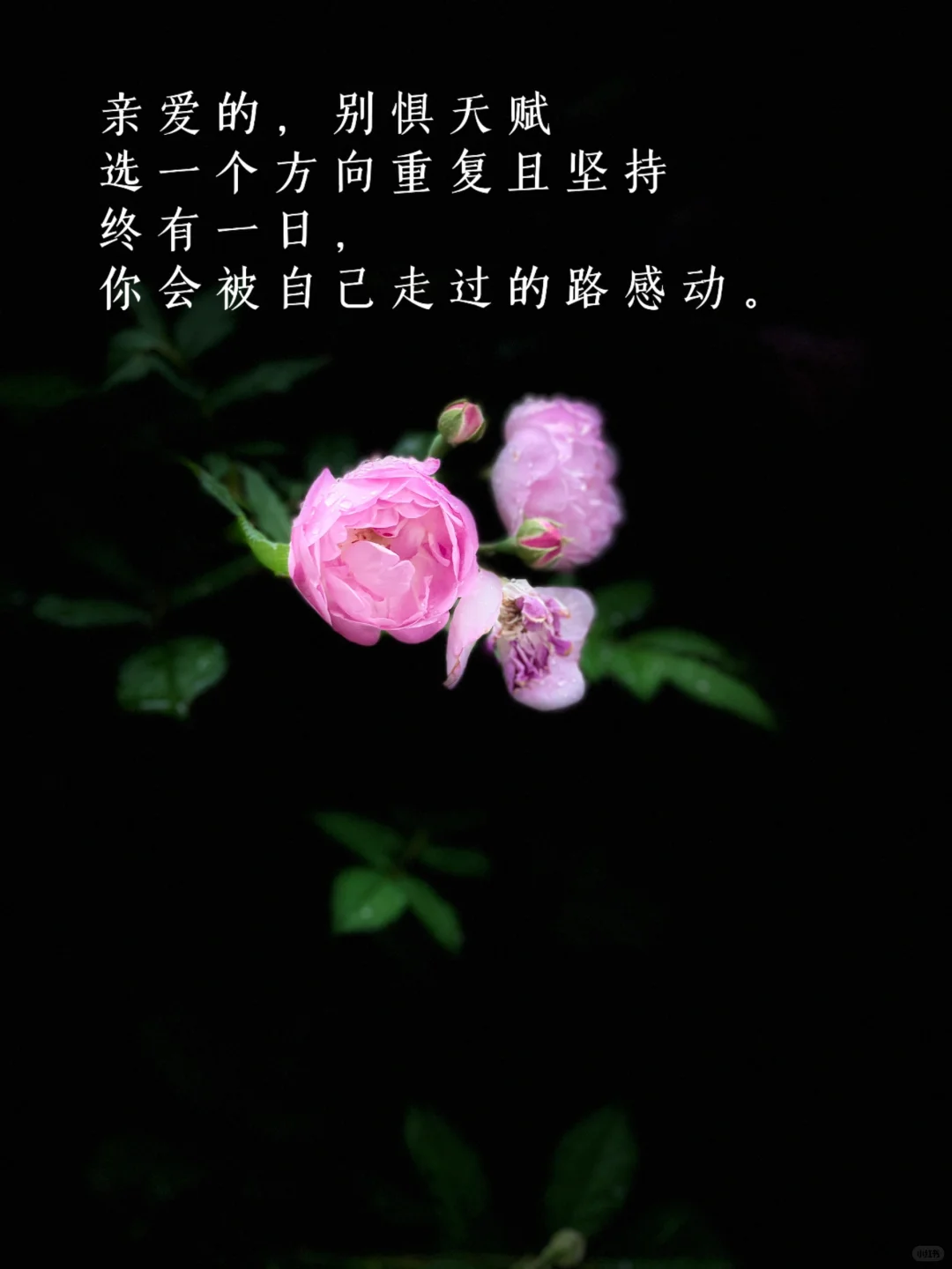 没有天赋，就不断重复|读书博主成长记录