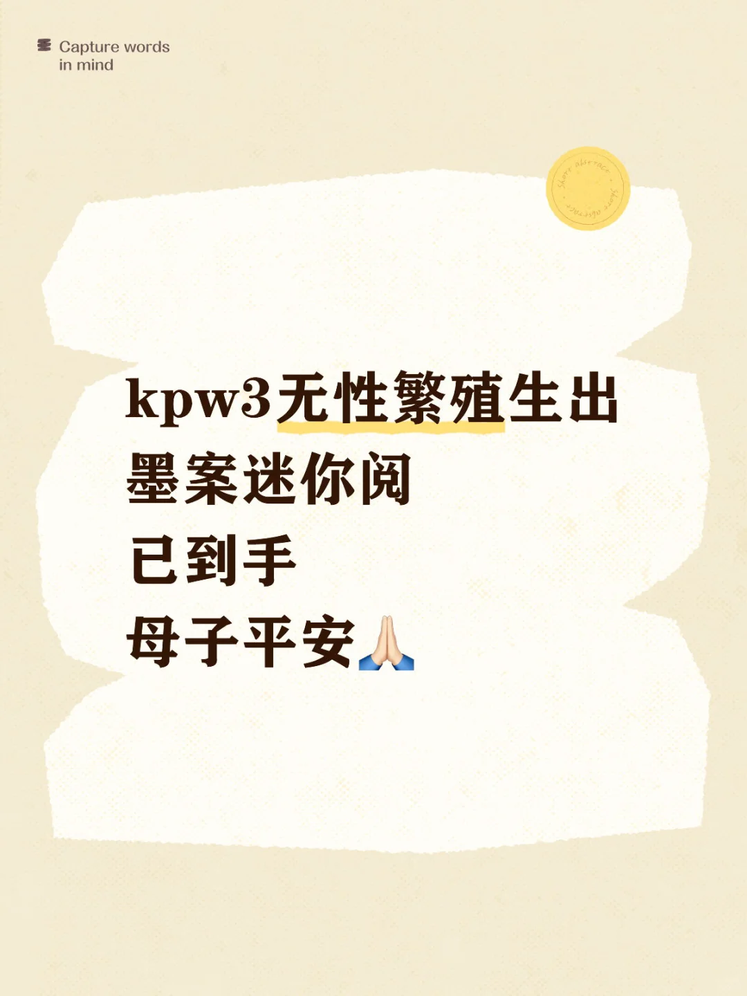 墨案迷你阅到手啦！