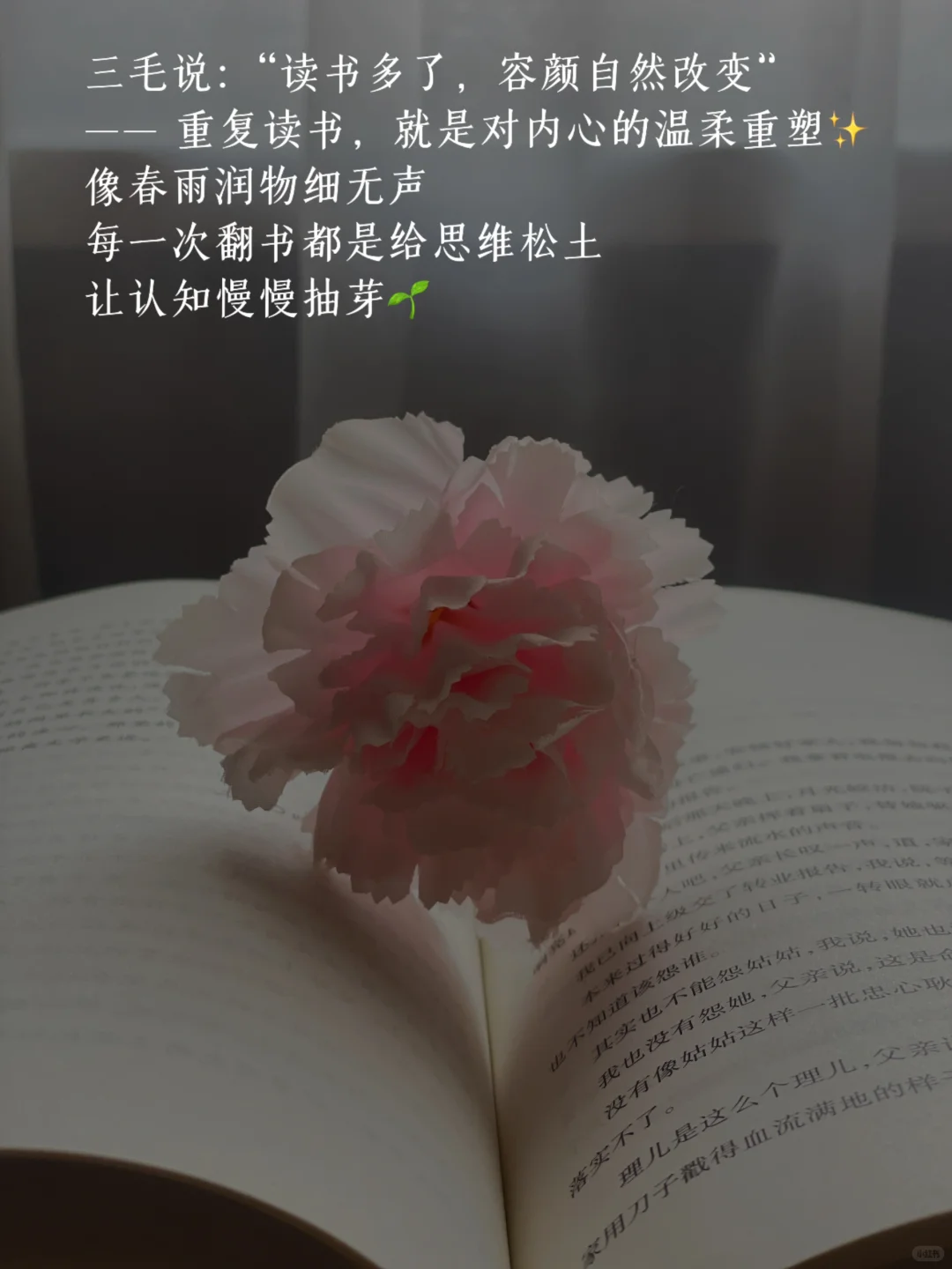 没有天赋，就不断重复|读书博主成长记录