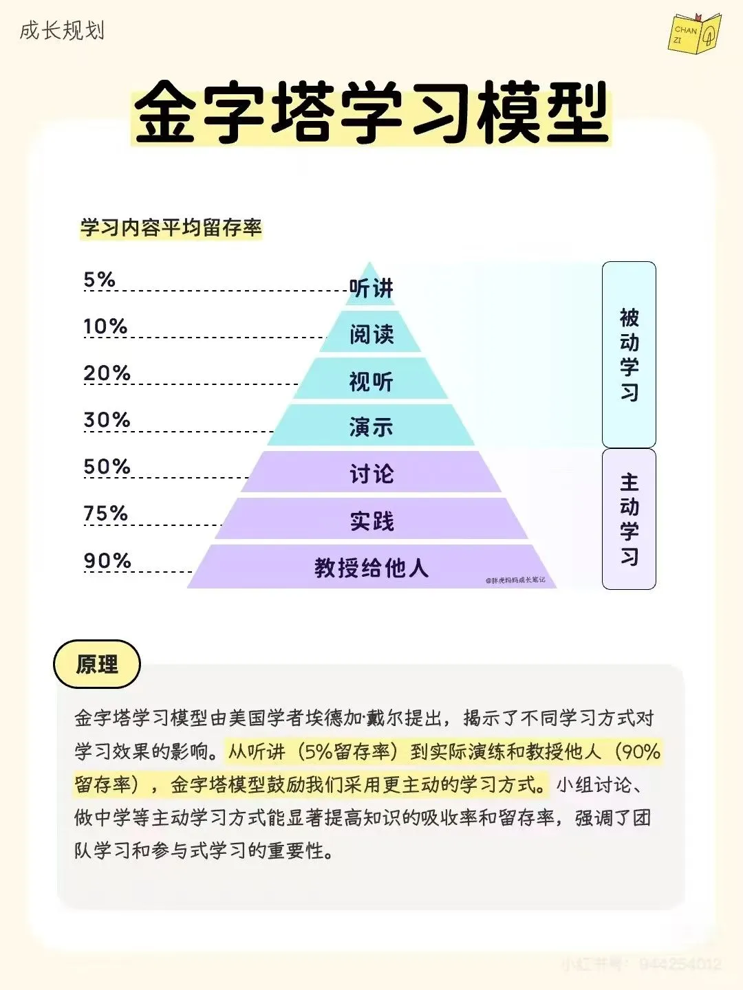 📚 阅读的力量：