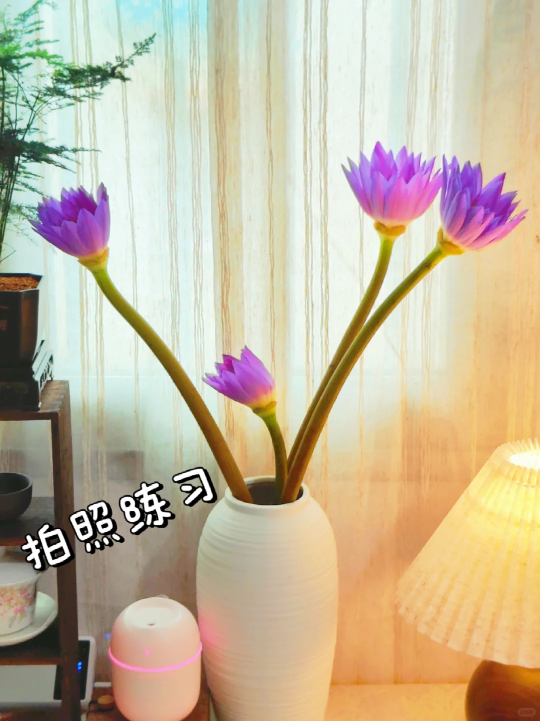 48岁再启航，读书博主第一天，请多关照