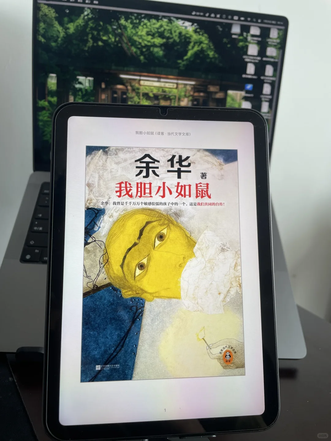 📚💖感谢🙏小红书让我实现电子书自由！！