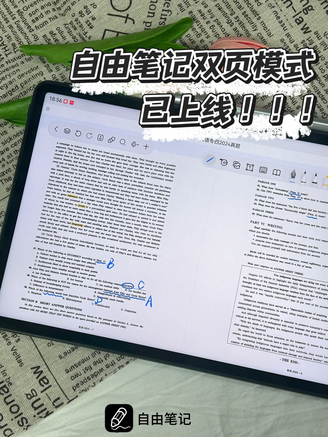 双页模式已上线！！写试卷更方便～