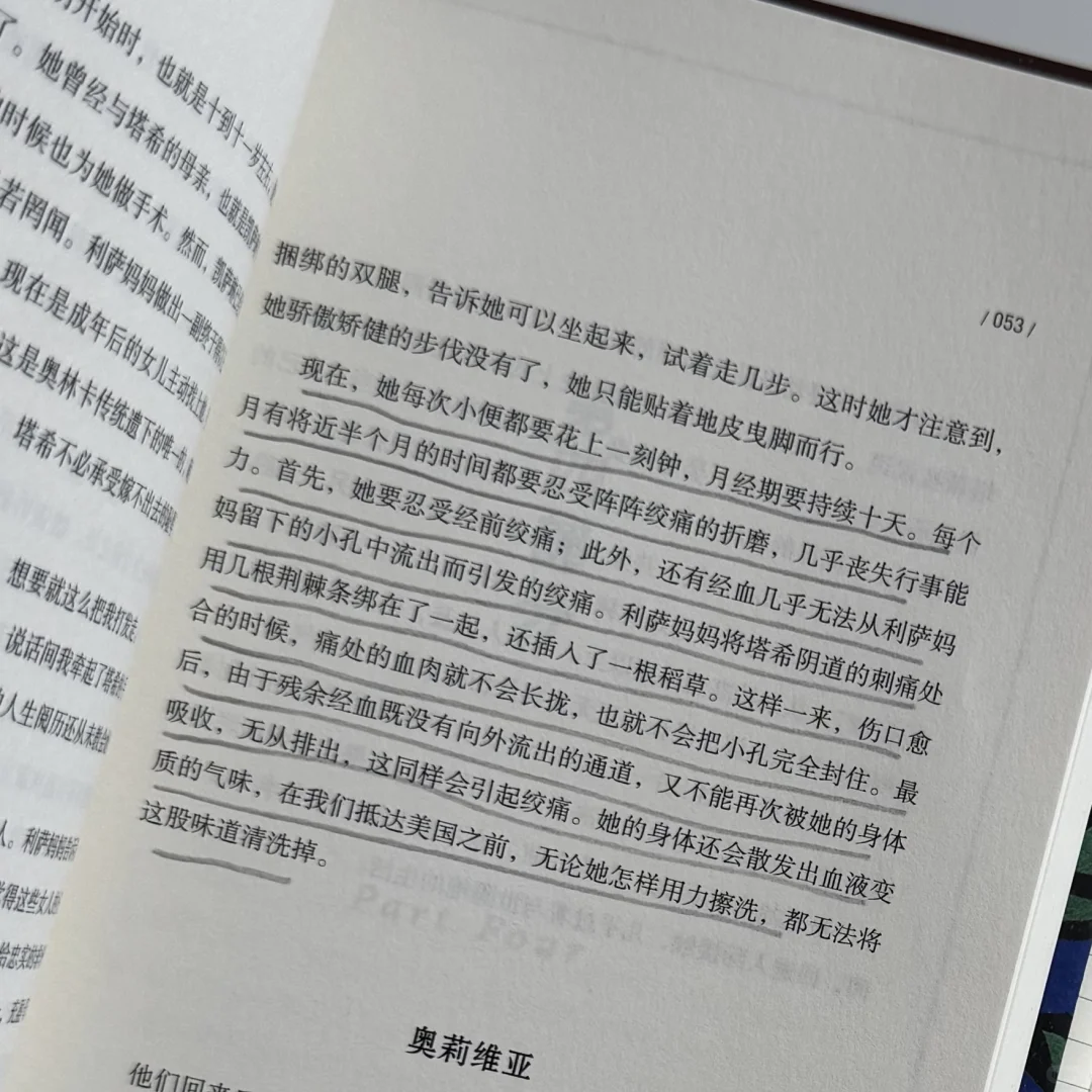 最近读并摘记的六本