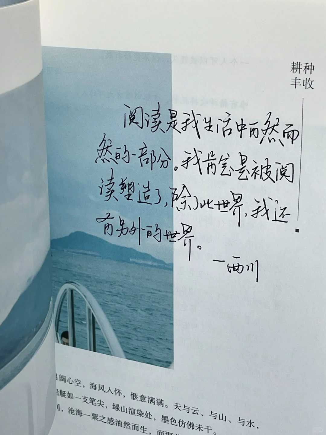 “阅读是我在孤独时最好的休憩”