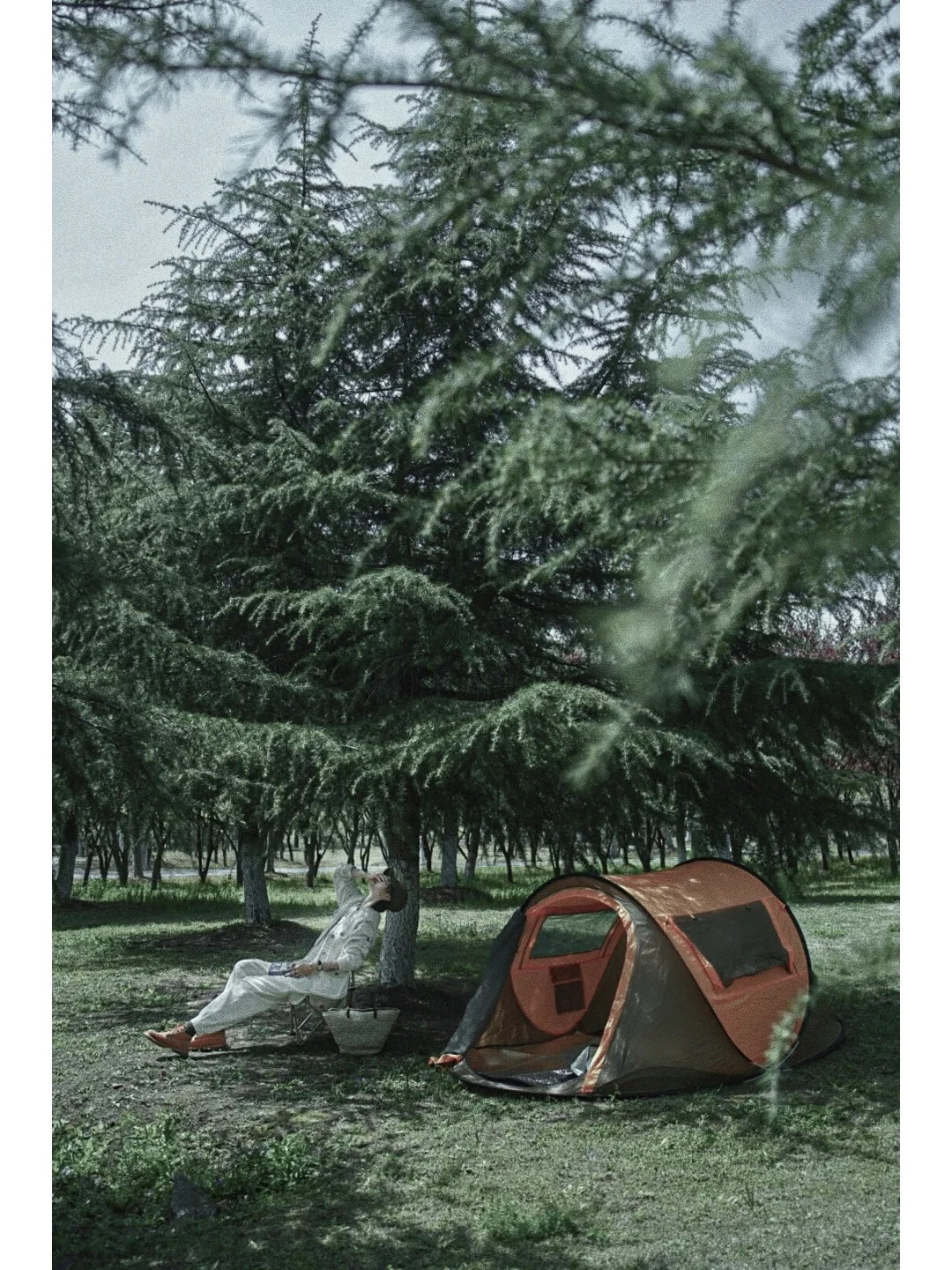 户外阅读的乐趣 我get到了！📚🌲