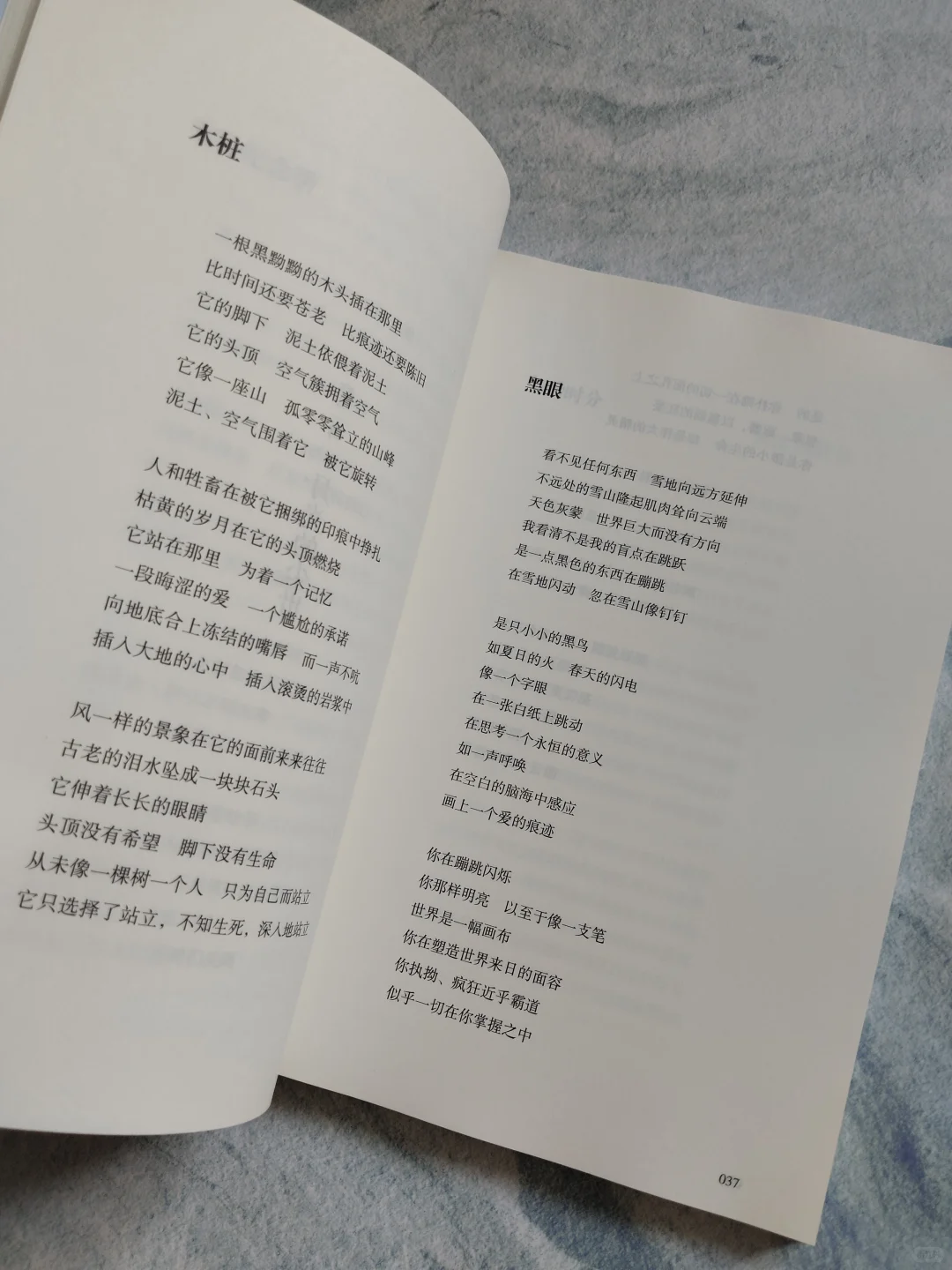 阅读艺术性极致追求诗歌，享受其应有的魅力
