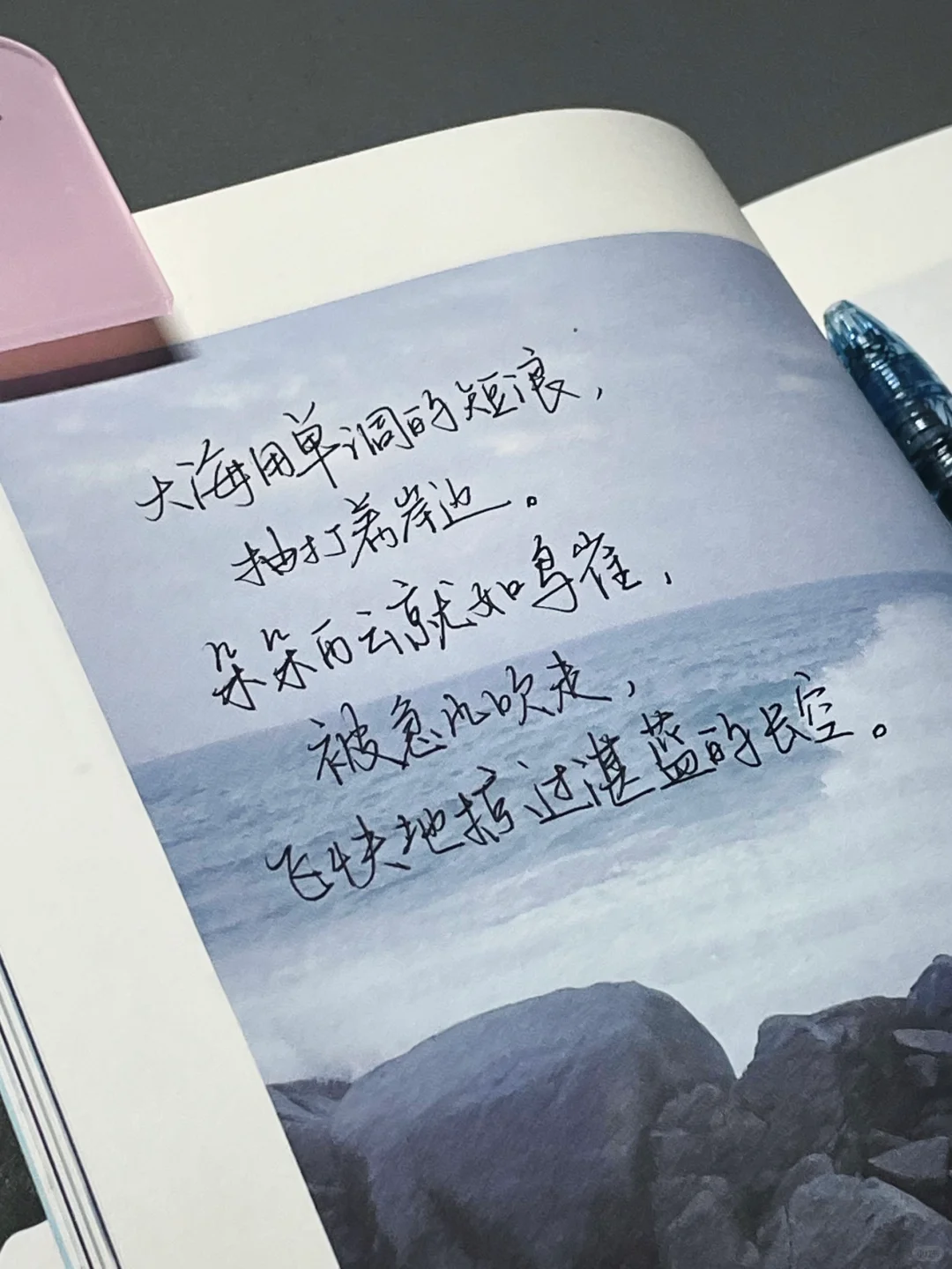 “阅读是我在孤独时最好的休憩”