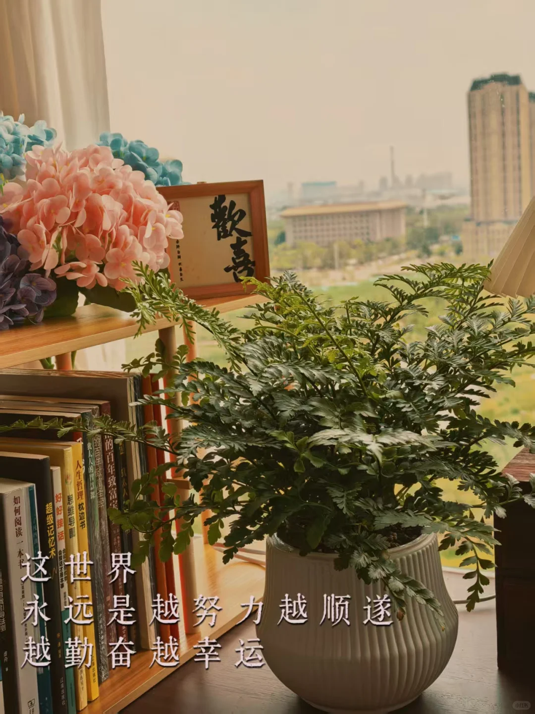 新人报道 | 做读书博主第1⃣️天，请多