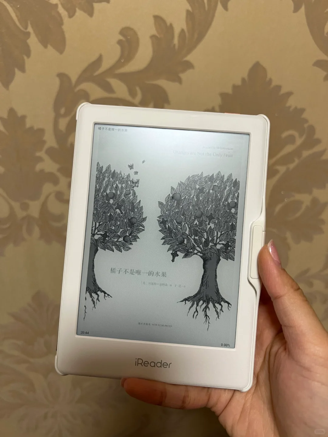 我的ireader light2📖