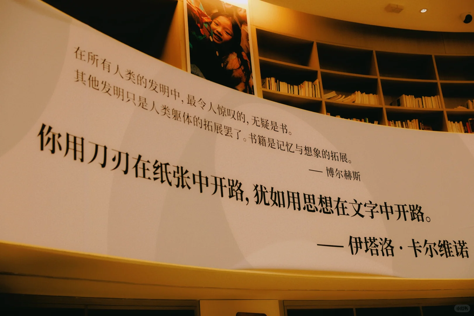 阅读真的是件超治愈的事