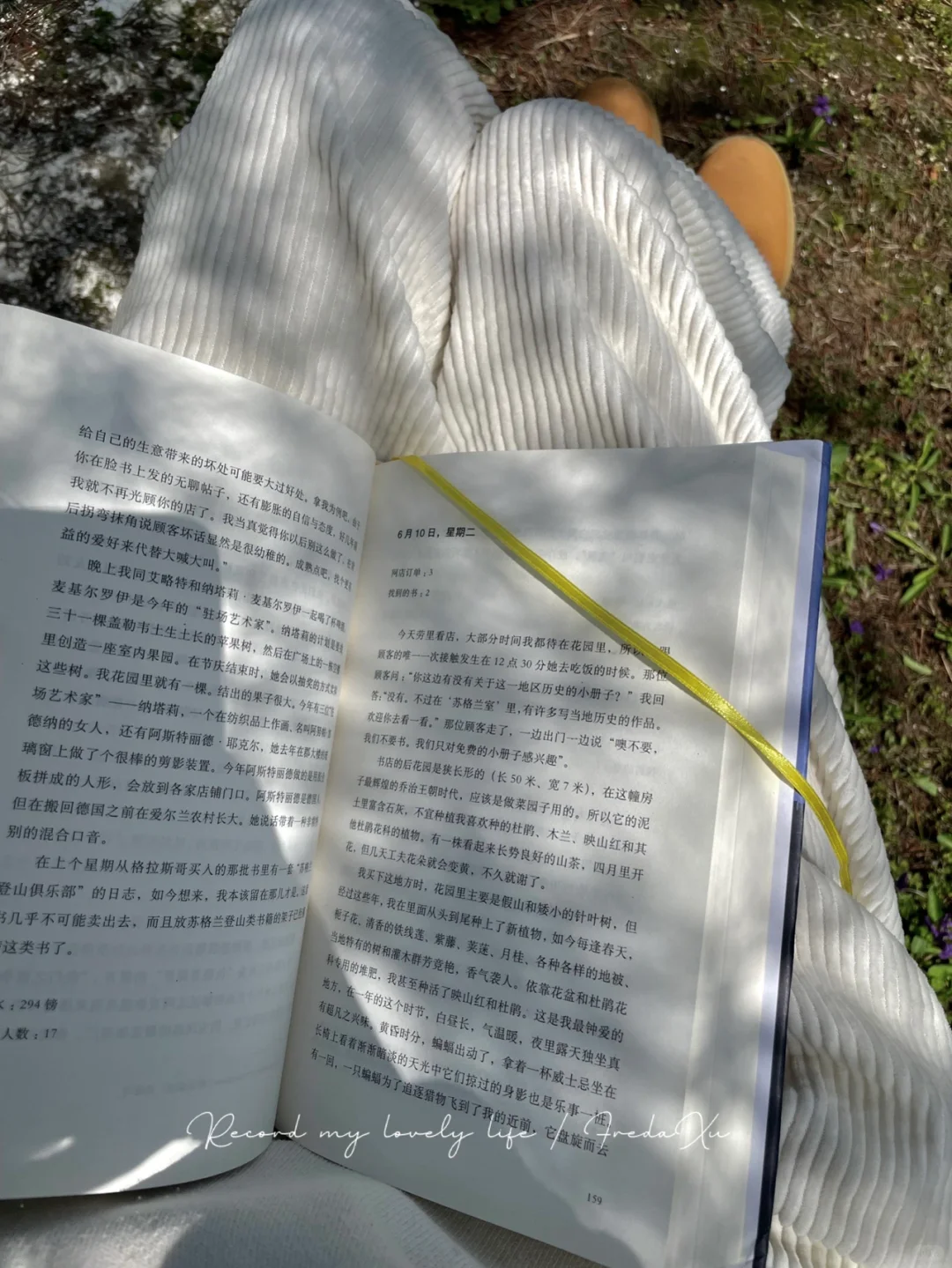 户外阅读的乐趣 我get到了！📚🌲