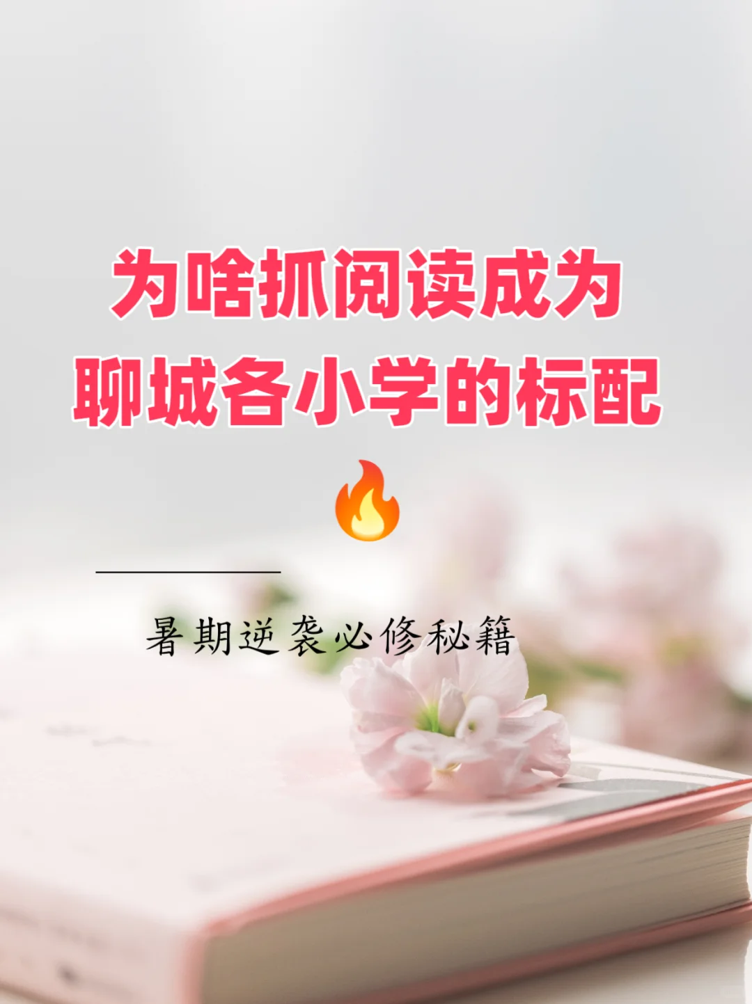 为什么聊城小学都在疯狂抓阅读？