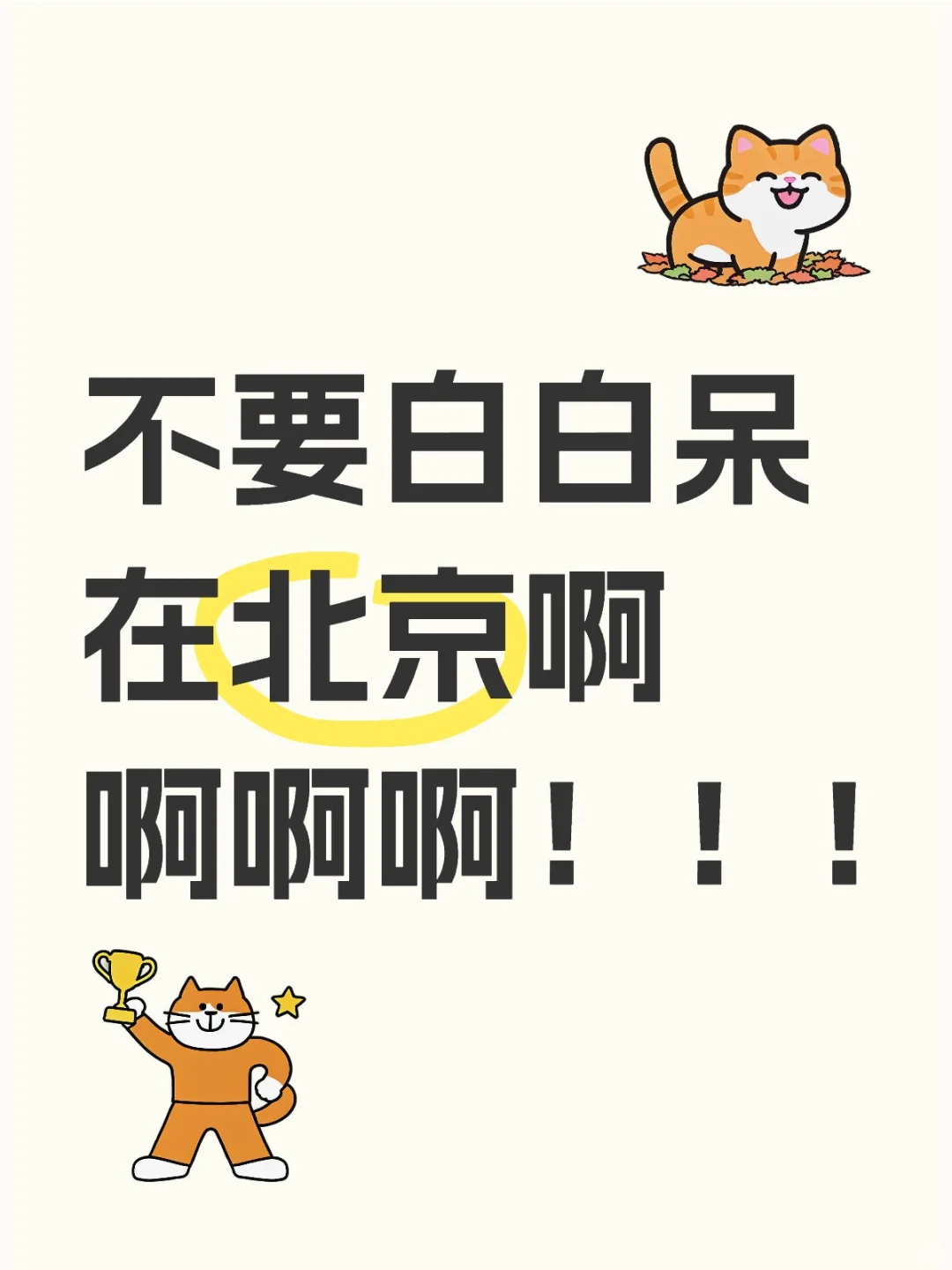 资源别浪费哦，别傻傻呆在北京啊啊啊！！！