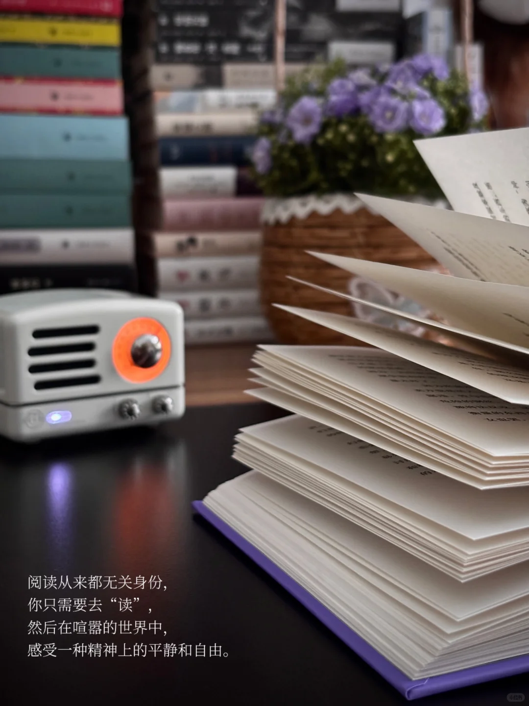 阅读是一场微小但真实的自救