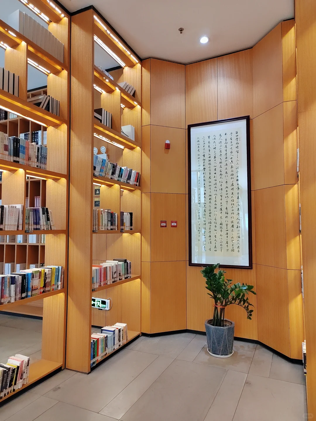 藏书丰富的小图书馆，太棒了