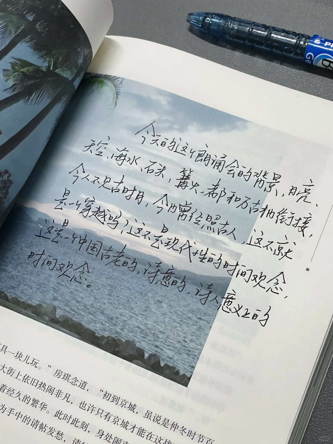 “阅读是我在孤独时最好的休憩”