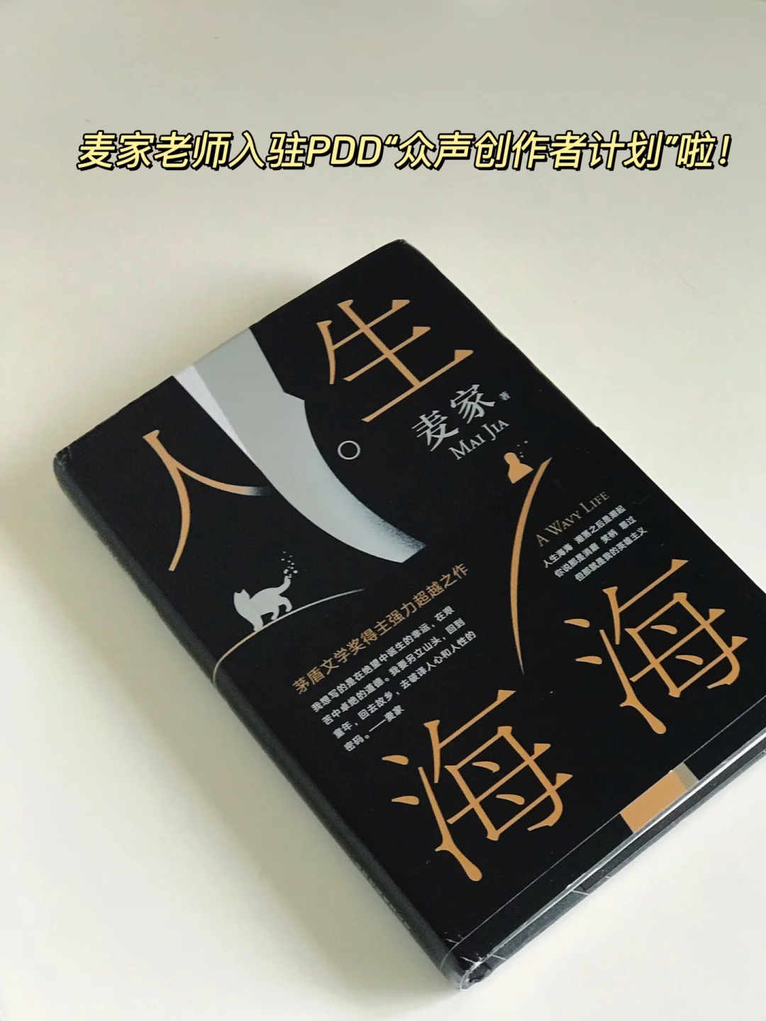 一个人独处的日子里，多多读书吧📖