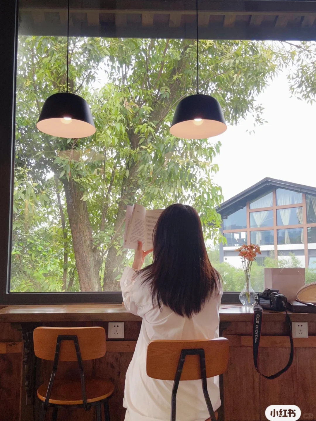 纸质书自由，我的四步实现路径：