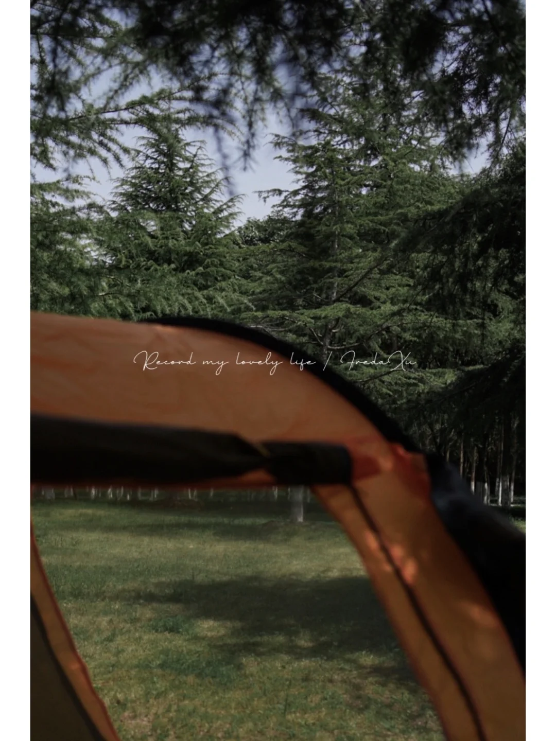 户外阅读的乐趣 我get到了！📚🌲