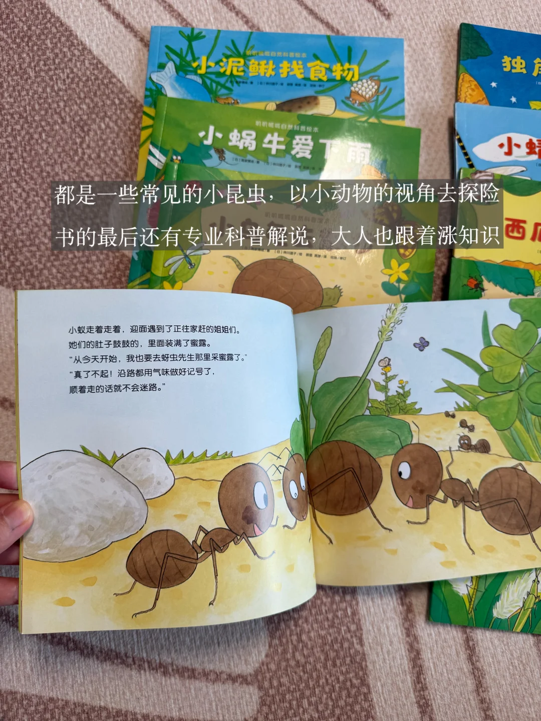 2岁宝宝书单｜高温天也能宅家享受阅读时光