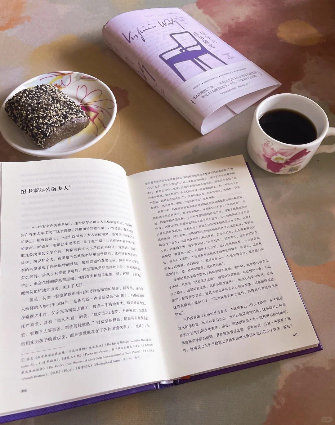 伍尔夫读书随笔：在阅读中，我们永远自由
