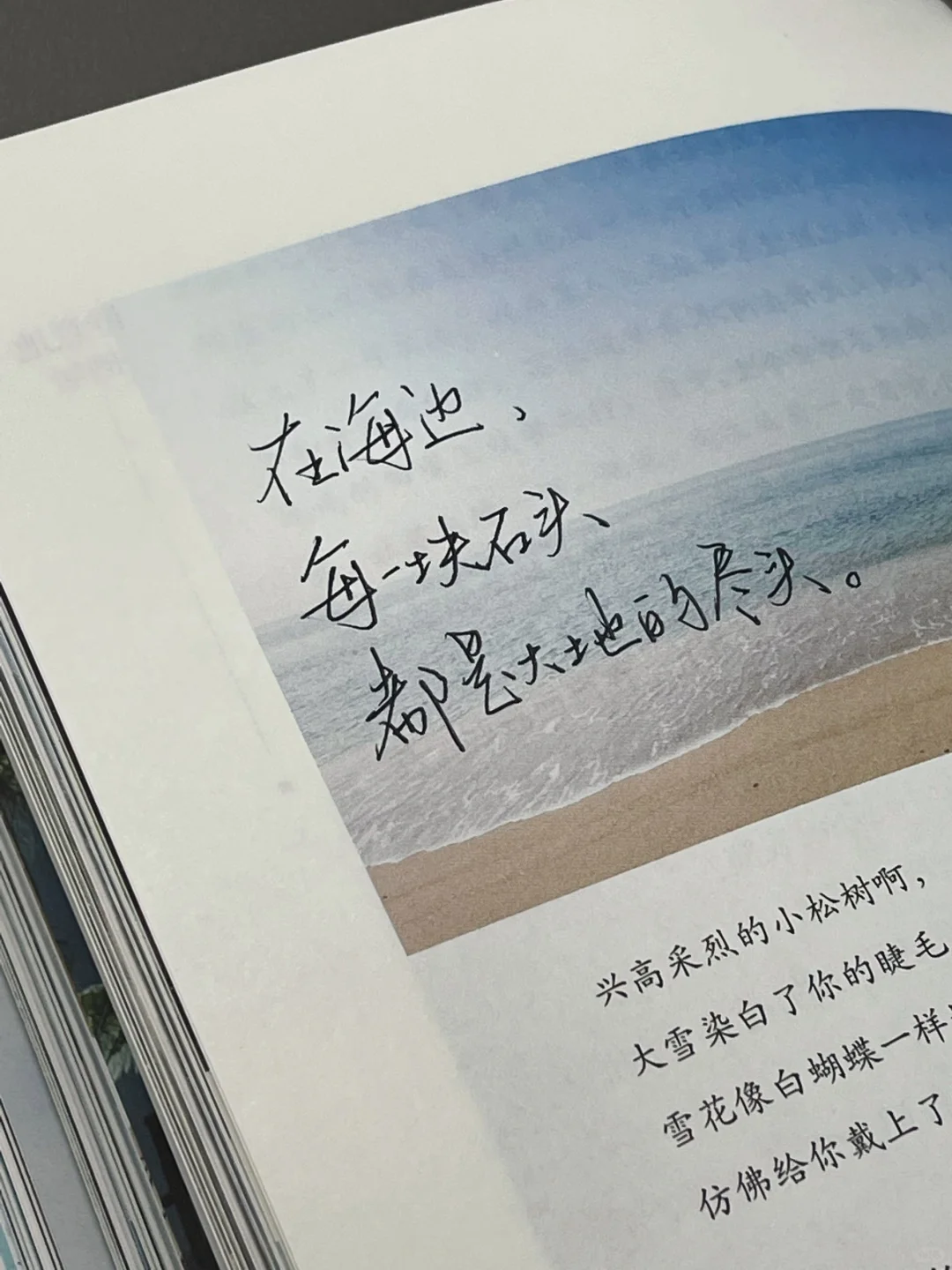 “阅读是我在孤独时最好的休憩”