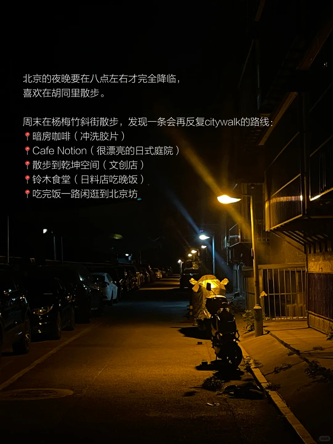 她的一周，散步、读书，一个普通读者的生活。